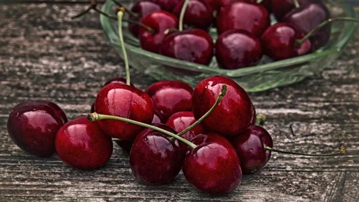 самая урожайная черешня