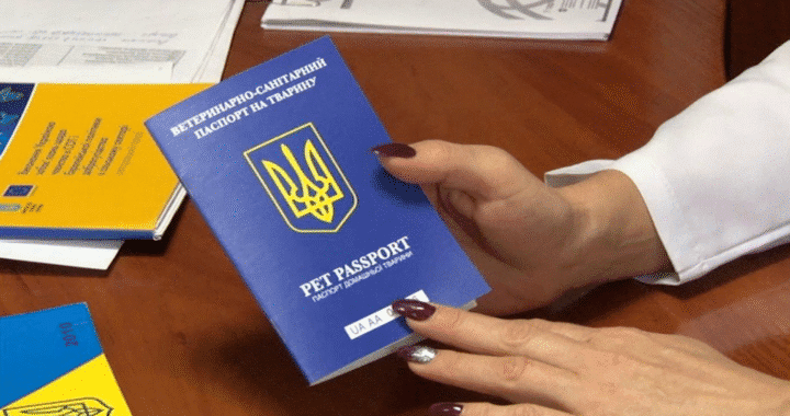 ветеринарный паспорт