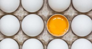 Їжте на здоров'я: список продуктів, що нормалізують рівень холестерину — поради дієтолога